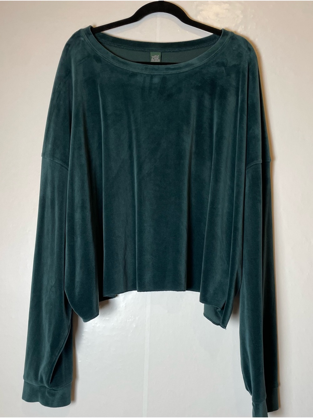 wild fable Velvet Cropped Long Sleeve Top - Teal Green